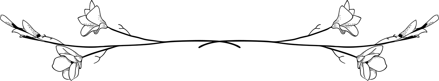 Info Divider
